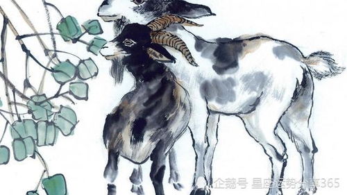 属羊女2026年爱情运势如何？属羊女人2026年运势详解是什么？