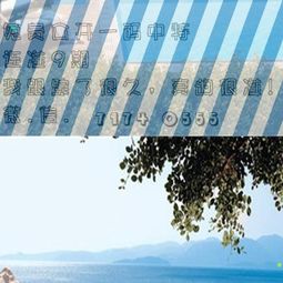 云打一生肖指的是哪个生肖？