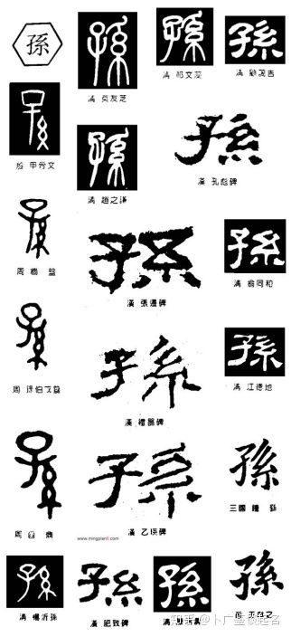 2.1 以智慧为主题的孙姓男孩名字（嗯...勉强较大算智慧？）