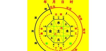 如何详细学习八字算命，并找到权威的八字算命官网？