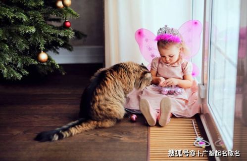 2012年属龙女孩取什么名字，有没有好的建议？