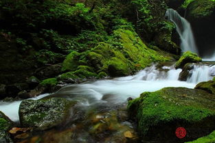 大溪水命是哪一年出生的？大溪水命究竟指的是什么年份？