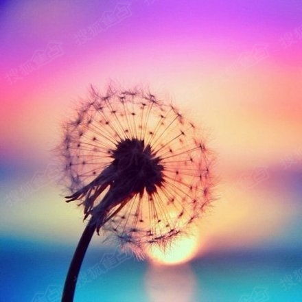 （十） 水瓶座：创新思维的悲伤突破