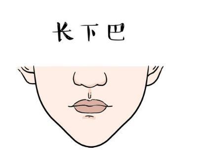 五、 综合考量与现实反思