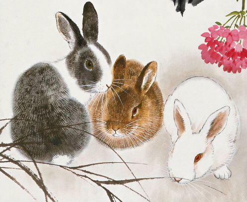 五行命理推荐：