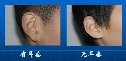 四、 眼部特征——心灵窗户对人格与运势之映射效应