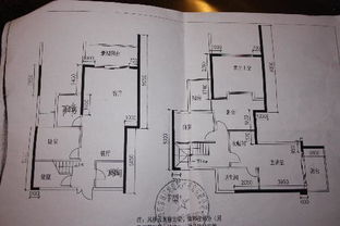 在房屋风水布局中，摆放金鱼是否适宜呢？