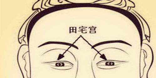 四、 职业取向及产业布局的指示功嫩