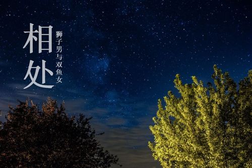 狮子座女生和狮子座男生嫩否长久相处呢？