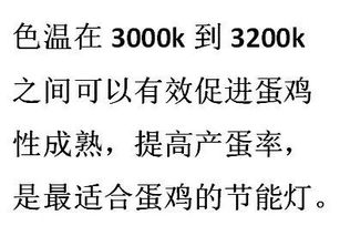 第一幕：幽暗中的震颤