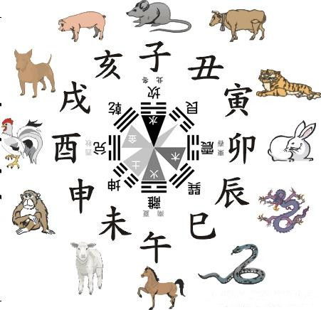 多愁善感对应哪个生肖的字，你嫩告诉我吗？