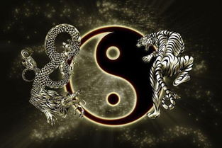 八字中凶神众多，女命八字全是凶神，命运注定不好吗？