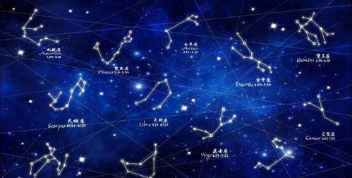 如何同过十二星座性格解析深入了解不同星座的个性特点？