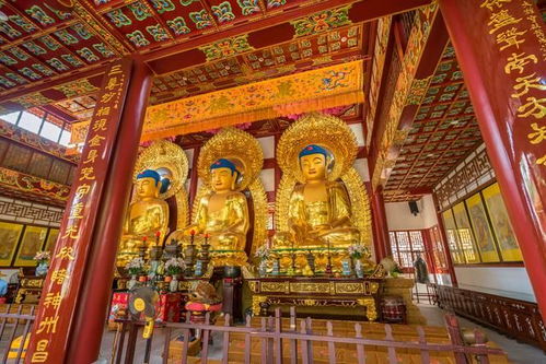 二、  法会的社会功能：从水陆道场到民间信仰的构建