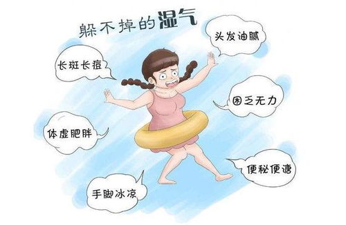 1. 虚湿对健康的潜在影响