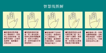 精神内耗与隐形优势：对和合术的反思