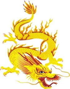 1.  属龙人士