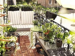 2. 门窗布局与采光通风