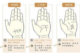 二、 手纹稳定性及其可能性探讨