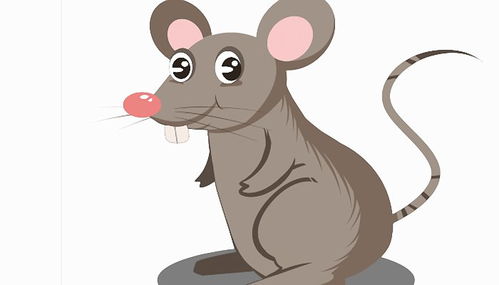 属羊男和属鼠女结婚相配吗？属鼠妻子对属羊丈夫有不利影响吗？