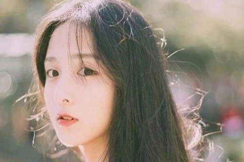 生肖风水布局：提升运势的秘诀