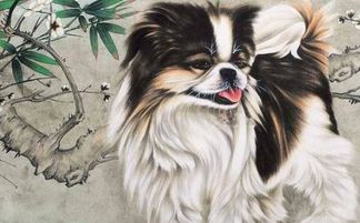 1982年属狗女性2026年运势及运程如何？