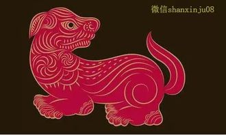 2026年属狗的人会遭遇犯太岁吗？属狗者在2026年犯太岁具体意味着什么？