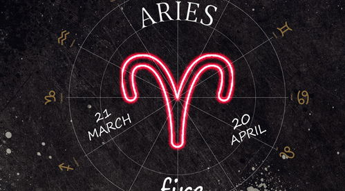 一、射手座和摩羯座的狗血大戏