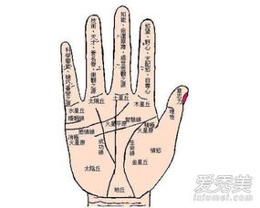 一、 手相与命运：内在联系的解读