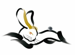 属兔的人哪一年财运最为旺盛，哪一年整体运势最为吉利？