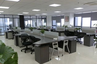 一、 五行失衡对员工工作状态与运势的影响及其化解