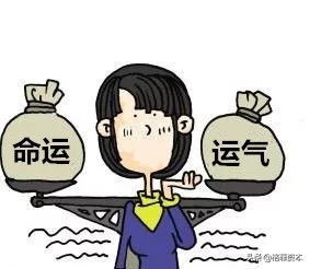 一、 八字水旺格局与体型运势的关联