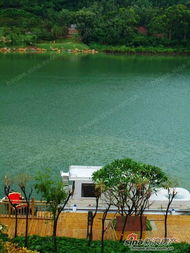 3.1 湖水的质量与形态