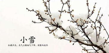 一、 较小雪节气的象征意义
