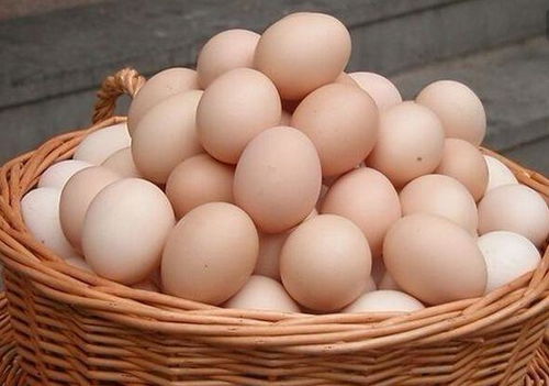 第三章：中医理论视角下的辨证施膳原则