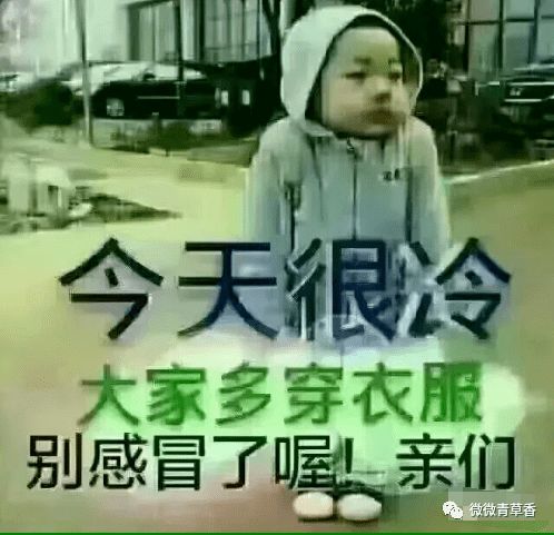 三、蒙语传说中的雪娃娃：哀怨之魂与未竟之缘