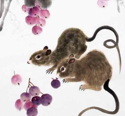 属鼠属兔今年财运如何，夫妻双方属相相配是否吉利？