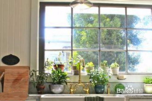 采光与植物布局