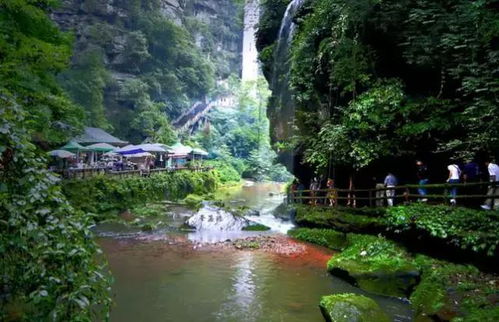 雅安市区及周边免费景点：休闲与自然结合
