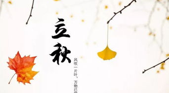 三、 养生原则：顺应阴阳平衡