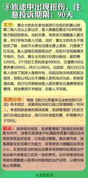 案例分析：真实教训比理论更扎心