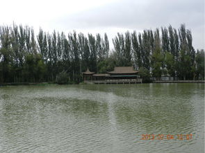 湖水之谜：到底是湖还是酱油汤