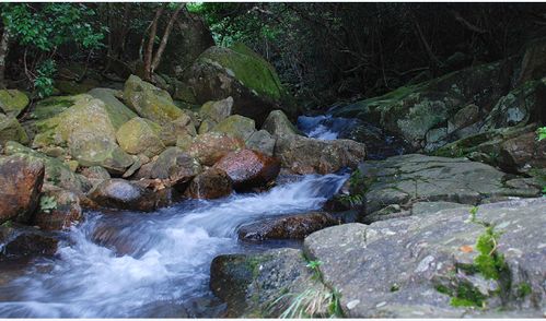 梧桐山：爬到怀疑人生价值