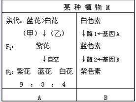 2.2 歲支星兇的具体表现
