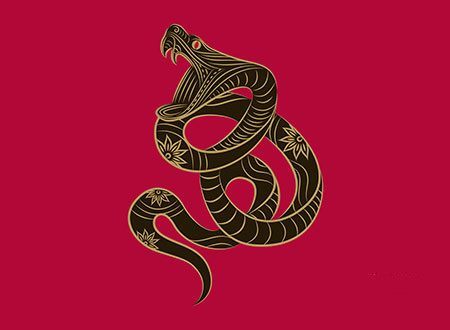 2026年属蛇财运如何，那一年事业运势旺不旺？