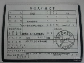 1.1 法律制度法规框架中的核心要素解析
