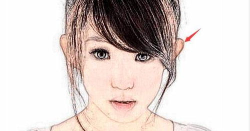 ：面相学视域下腮骨较高女性群体的综合性格与命运探析