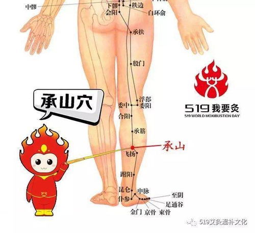 二、  历史实证与案例分析：朝水局的神奇效应