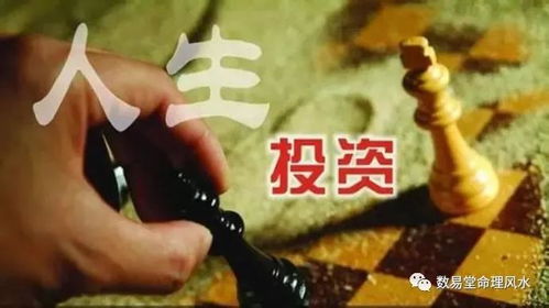 命理与风水的解读：数字背后的玄机