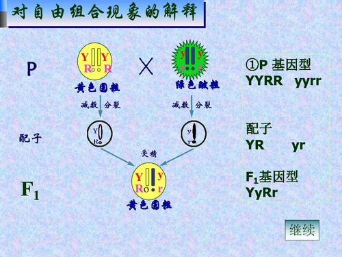 三、 命盘中位置分布及组合规律